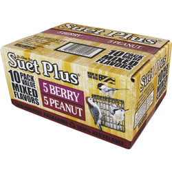 Suet Plus Berry & Peanut Suet (10-Pack) 290