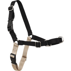 PetSafe Easy Walk Small Black No Pull Dog Harness EWH-HC-S-BLK