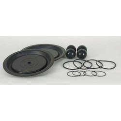 Dayton Pump Repair Kit,TPV,For 3HJW6; 3HJW6A 22A616