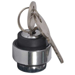 Dayton KeyedSelectorSwitch,Black,2Pos,22mm 30G285
