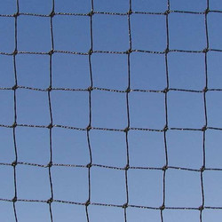 Bird Barrier Net,Heavy Duty,Black,3/4",25 x 25 ft. N1X-B110