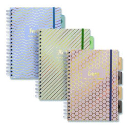 PUKKA PAD® NOTEBOOK,PRJCTBOOK,3P,AST 9975ASTHZE