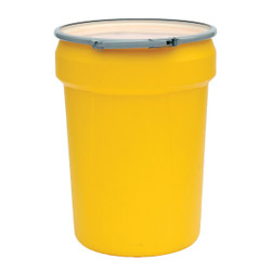 1601M Eagle LAB,OVERPACK AND SALVAGE DRUMS,30 Gal Lab Pack w/Metal Lever-Lock Ring