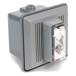 Edwards Signaling Horn Strobe,Clear,5-1/2 In. H,24VAC/DC 868STRC-AQ