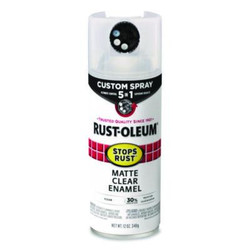 Rust-Oleum® PAINT,5IN1,MTTE,6-12Z,CLR 376868