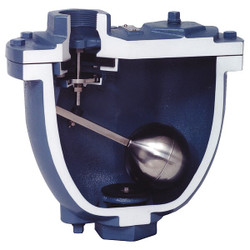 Val-Matic Valve Air Release and Vac,FNPT,1 x 1,CI 20C01-6BT-C6B5Y
