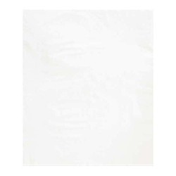 Partners Brand Flat Poly Bag,15x18",2 mil,White,PK1000 PB572W