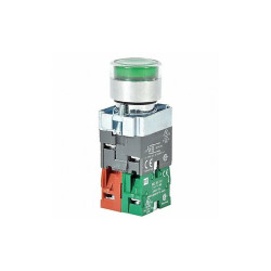 Dayton IllumPushButton,FullVolt,Green,1NO/1NC 30G205