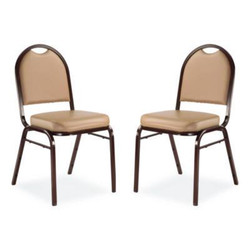 NPS® CHAIR,VINYL 2PK,BG 9201M2