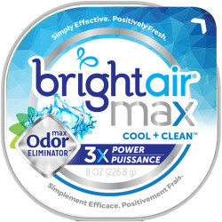 Bright Air  Air Freshener 900437