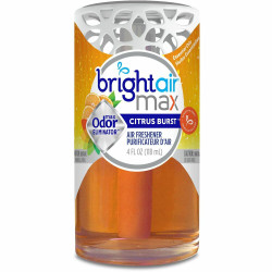 Bright Air  Air Freshener 900440