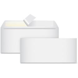 Business Source  Envelope 99713