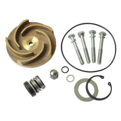 Dayton Pump Repair Kit,For 2ZWY1A 21TG82
