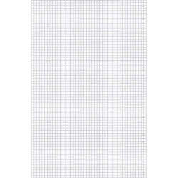 Ampad  Quadrille/Graph Pad 22037
