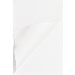 Business Source  Memo Pad 65901