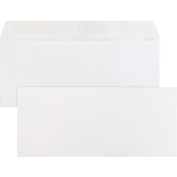 Business Source  Envelope 04646