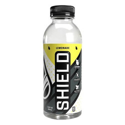 Sword Performance Sports Drink,Lemonade,16.9 oz,16.9 oz 02-02-16.9-12-LM