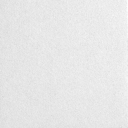 Armstrong Ceiling Tile,White,24" L x 24" W,PK4 2822NTEMP