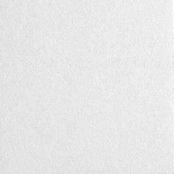 Armstrong Ceiling Tile,White,24" L x 24" W,PK4 2820NTEMP