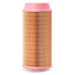 Fleetguard Automotive Air Filter,Round,4 13/16 in L AF26387