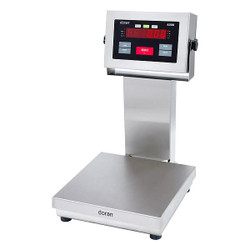 Doran Checkweigher Scale,SS Pltfrm,100 lb. Cap 43100/12