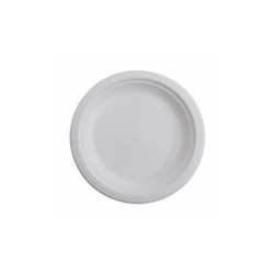 Eco-Products® PLATE,10" ECO PLATE,NTWH EP-P005PK