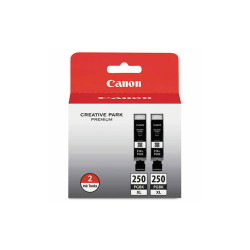 Canon® INKCART,PGI250XLBK,2PK,BK 6432B004