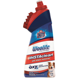 Woolite 18oz Woolite Pet Stain 1740