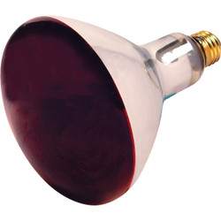 Satco 250W Red Medium Base R40 Incandescent Heat Light Bulb S4998