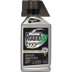 Roundup Max Control 365 1 Qt. Concentrate Vegetation Killer 5000610