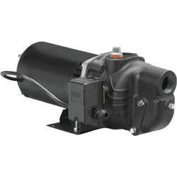 Wayne 1/2 HP Cast Iron Housing Shallow Water Well Jet Pump SWS50