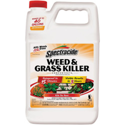 Spectracide 1 Gal. Concentrate Weed & Grass Killer HG-96620
