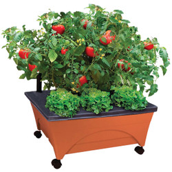 City Pickers 20x24 Patio Box Planter 2340