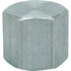 Anvil 1/8 In. Malleable Iron Galvanized Cap 8700132502