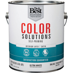 Color Solutions Int Sat Ultra Wht Paint CS42W0801-16