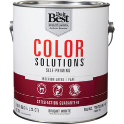Color Solutions Int Flt Bright Wht Paint CS46W0726-16