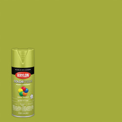 Krylon ColorMaxx12 Oz. Gloss Spray Paint, Ivy Leaf K05525007