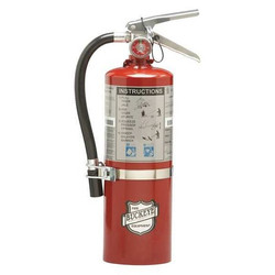 Buckeye Fire Extinguisher,Steel,Red,BC  13514