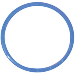 Lasco 7/8 In. Blue Nylon Faucet Washer 02-1842P Pack of 10