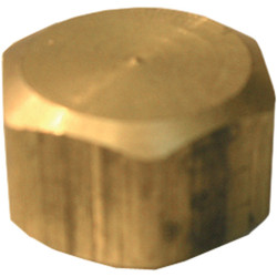 Lasco 5/8 In. Brass Compression Cap 17-6189