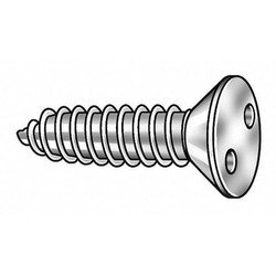 Tamper-Pruf Screws Sheet Metal Scrw,#6,18-8SS,1"L,PK25 122100