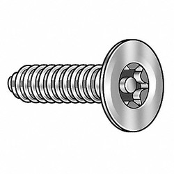 Tamper-Pruf Screws Scrw Sz #8,T15,18-8SS,1"L,PK25 91820