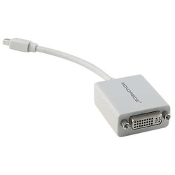 Monoprice Mini Displayport Male, DVI Female 5106