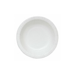 Manufacturer Varies Disposable Paper Plate,10 in,White,PK250 22381