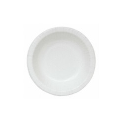 Sim Supply Disposable Paper Plate,10 in,White,PK250  22381