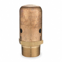Bell & Gossett Vacuum Breaker,3/4 In,MNPT,Brass,150 psi 62