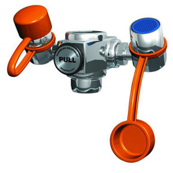 Guardian Equipment Eyewash,Faucet Mount,4-1/4 W,2-1/4 D G1100