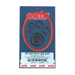 Solo Piston Pump Repair Kit  4900405K