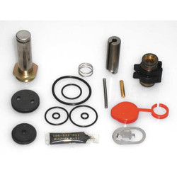 Asco Valve Rebuild Kit,With Instructions  306191