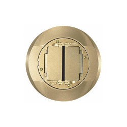 Hubbell Wiring Device-Kellems Floor Box Cover Carpet Flange,Brass S1CFCBRS
